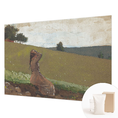 Stilingas fototapetas Rami scena