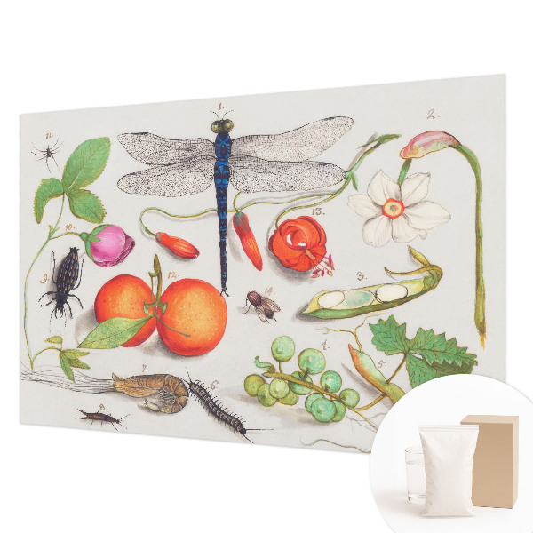 Stilingas fototapetas Gamtos iliustracija