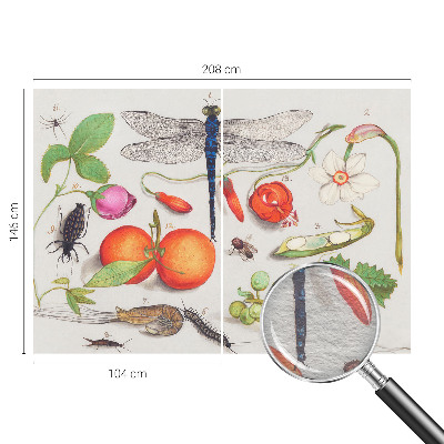 Stilingas fototapetas Gamtos iliustracija