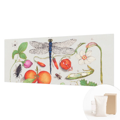 Stilingas fototapetas Gamtos iliustracija