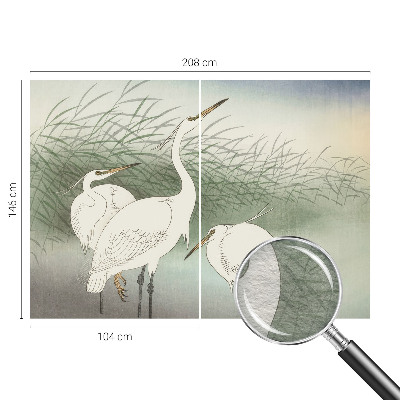 Tapetas Hejrer ir græsset