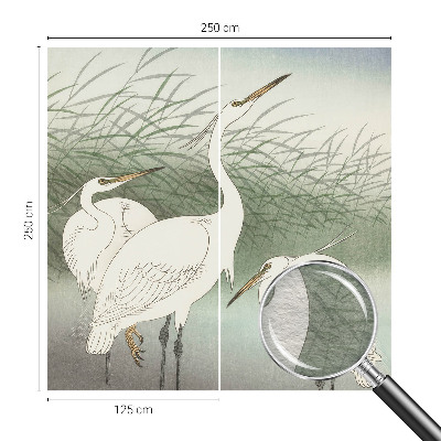 Tapetas Hejrer ir græsset