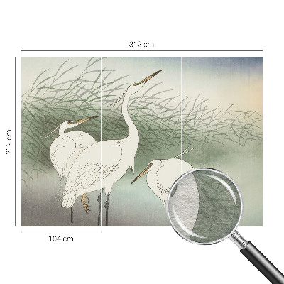 Tapetas Hejrer ir græsset