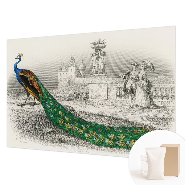 Fototapetas ant sienos Spalvingas fjeras