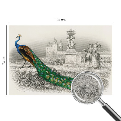 Fototapetas ant sienos Spalvingas fjeras