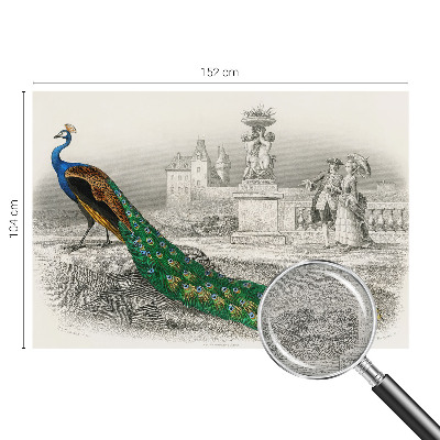 Fototapetas ant sienos Spalvingas fjeras