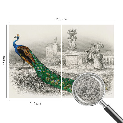 Fototapetas ant sienos Spalvingas fjeras