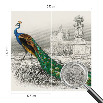 Fototapetas ant sienos Spalvingas fjeras