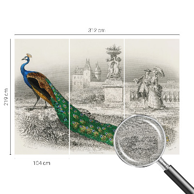 Fototapetas ant sienos Spalvingas fjeras