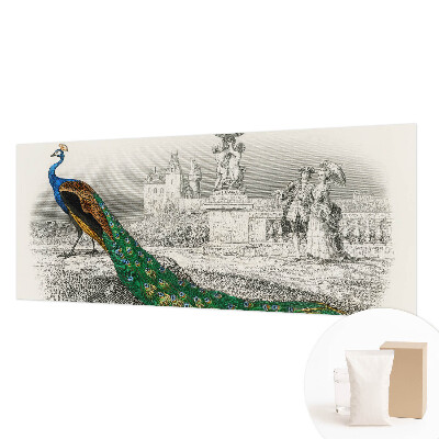 Fototapetas ant sienos Spalvingas fjeras