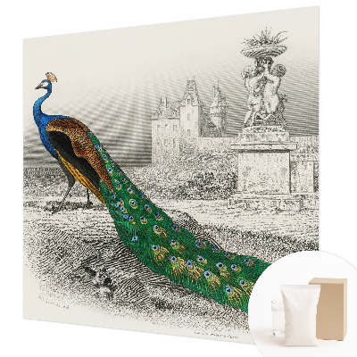 Fototapetas ant sienos Spalvingas fjeras