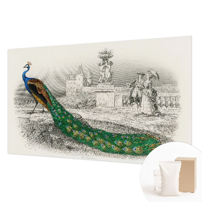 Fototapetas ant sienos Spalvingas fjeras