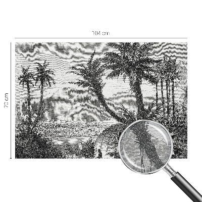 Fototapetas svetainei Tropikų oazė