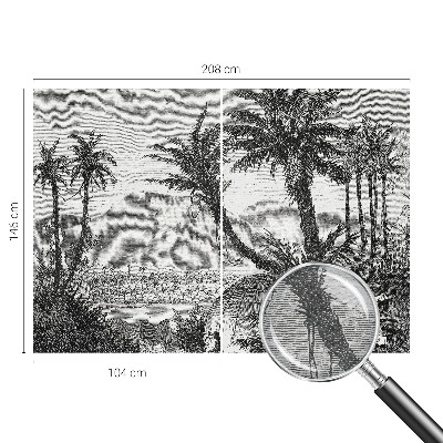 Fototapetas svetainei Tropikų oazė