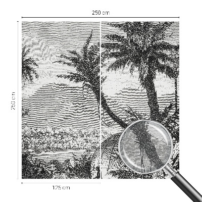 Fototapetas svetainei Tropikų oazė