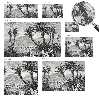 Fototapetas svetainei Tropikų oazė