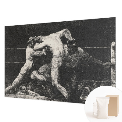 Plaunamas flizelininis fototapetas Boksernų dvikova