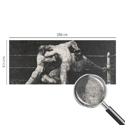 Plaunamas flizelininis fototapetas Boksernų dvikova