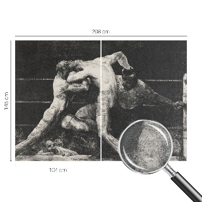 Plaunamas flizelininis fototapetas Boksernų dvikova