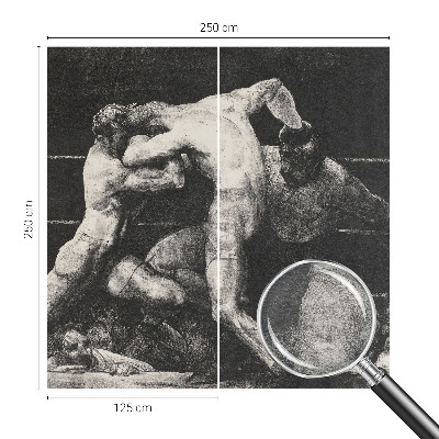 Plaunamas flizelininis fototapetas Boksernų dvikova