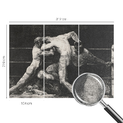 Plaunamas flizelininis fototapetas Boksernų dvikova