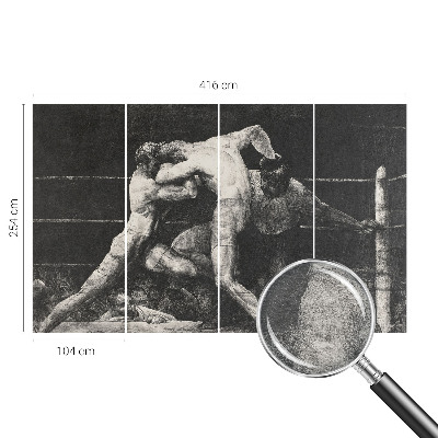 Plaunamas flizelininis fototapetas Boksernų dvikova