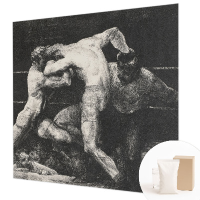 Plaunamas flizelininis fototapetas Boksernų dvikova