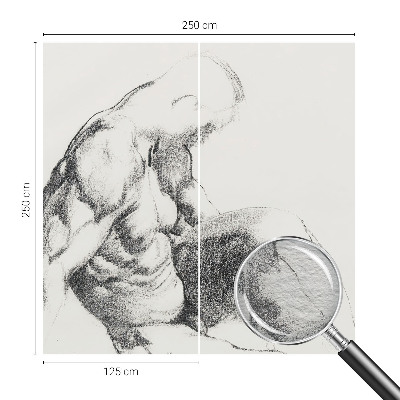 Fototapetas ant sienos Mandlig skitse