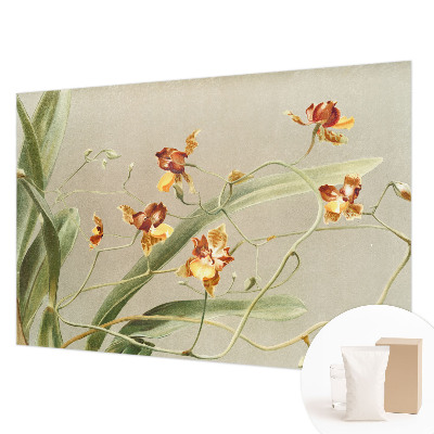 Modernus fototapetas su klasikinio stiliaus orchidėja