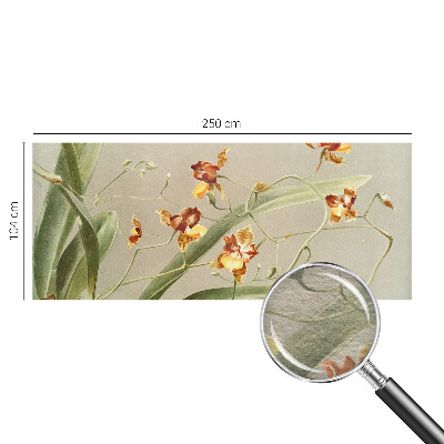 Modernus fototapetas su klasikinio stiliaus orchidėja