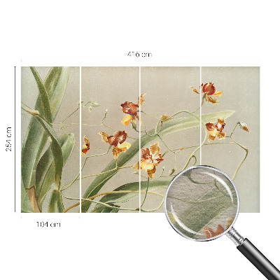 Modernus fototapetas su klasikinio stiliaus orchidėja