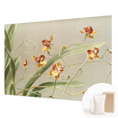 Modernus fototapetas su klasikinio stiliaus orchidėja