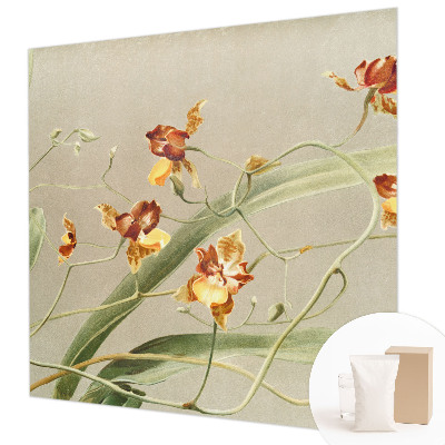 Modernus fototapetas su klasikinio stiliaus orchidėja