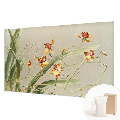 Modernus fototapetas su klasikinio stiliaus orchidėja