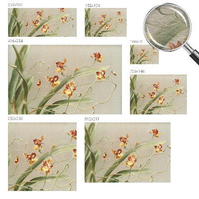 Modernus fototapetas su klasikinio stiliaus orchidėja