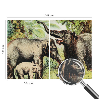 Fototapetas miegamajam Šeimos dramblys