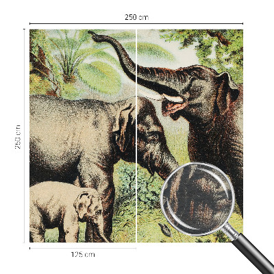 Fototapetas miegamajam Šeimos dramblys