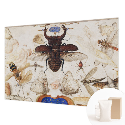 Flizelininis fototapetas Natūrali harmonika