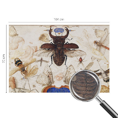 Flizelininis fototapetas Natūrali harmonika