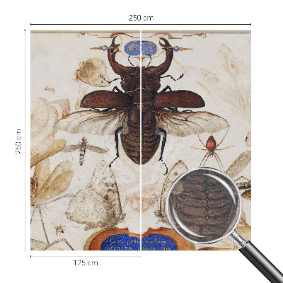 Flizelininis fototapetas Natūrali harmonika