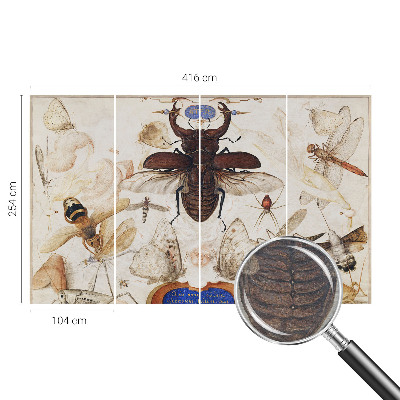 Flizelininis fototapetas Natūrali harmonika