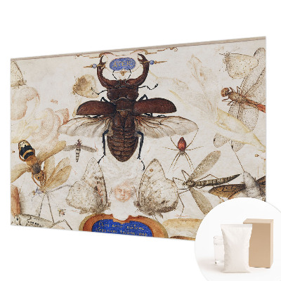 Flizelininis fototapetas Natūrali harmonika