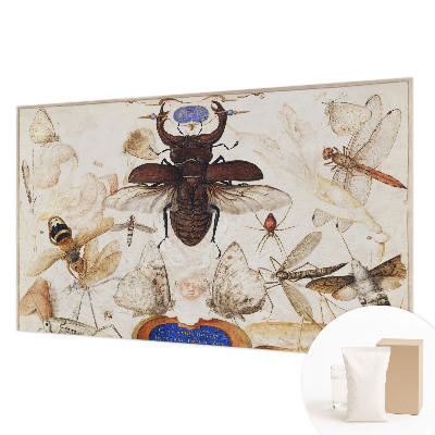 Flizelininis fototapetas Natūrali harmonika