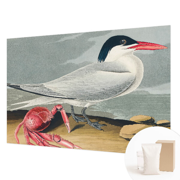 Fototapetas miegamajam Havlandskabas