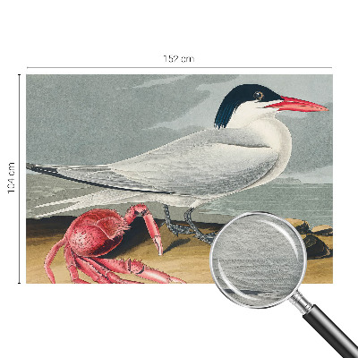 Fototapetas miegamajam Havlandskabas