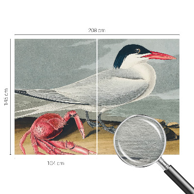 Fototapetas miegamajam Havlandskabas