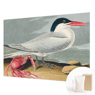 Fototapetas miegamajam Havlandskabas