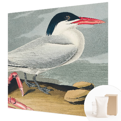 Fototapetas miegamajam Havlandskabas