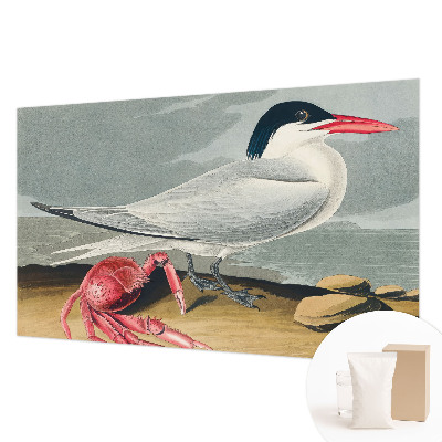 Fototapetas miegamajam Havlandskabas