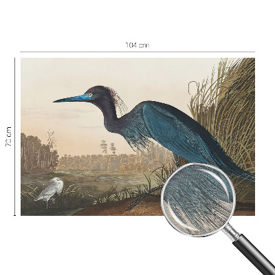 Fototapetas pagal užsakymą Vandfugle